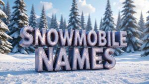 snowmobile names
