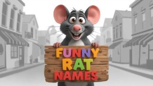 funny rat names